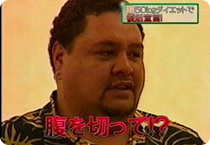 曙の画像