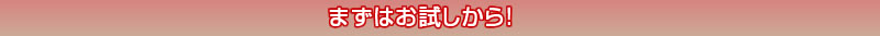 まずはおためしから